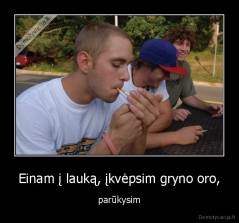 Einam į lauką, įkvėpsim gryno oro, - parūkysim