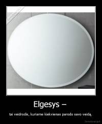 Elgesys –  - tai veidrodis, kuriame kiekvienas parodo savo veidą.