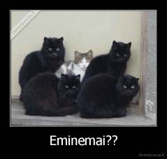 Eminemai?? - 
