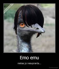 Emo emu - niekas jo nesupranta...