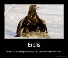 Erelis - ne tas, kuris padangėj skraido, o tas, kuris nuo žemės š*** lesa