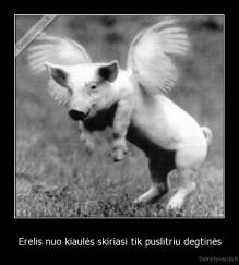 Erelis nuo kiaulės skiriasi tik puslitriu degtinės - 