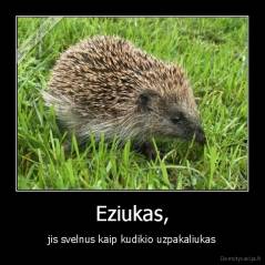 Eziukas, - jis svelnus kaip kudikio uzpakaliukas