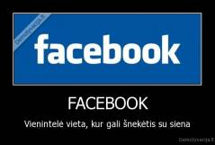 FACEBOOK - Vienintelė vieta, kur gali šnekėtis su siena