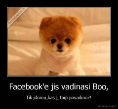 Facebook'e jis vadinasi Boo, - Tik įdomu,kas jį taip pavadino?!