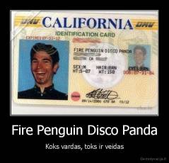 Fire Penguin Disco Panda - Koks vardas, toks ir veidas