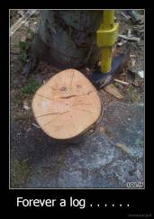 Forever a log . . . . . .   - 