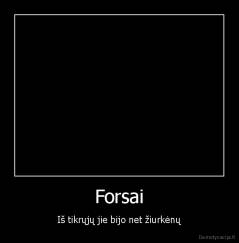 Forsai - Iš tikrųjų jie bijo net žiurkėnų
