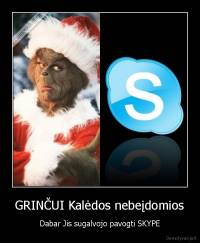 GRINČUI Kalėdos nebeįdomios - Dabar Jis sugalvojo pavogti SKYPE