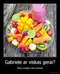 Gabriele ar viskas gerai? - Nera maisto nera laimes