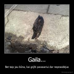 Gaila... - Bet taip jau būna, kai grįžti pavasariui dar neprasidėjus
