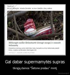 Gal dabar supermamytės supras - tikrąją dainos "Šėtone prašau" mintį