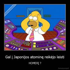 Gal į Japonijos atominę reikėjo leisti - HOMERĮ ?