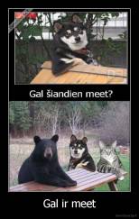 Gal ir meet - 