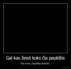 Gal kas žinot koks čia paukštis - Pas mane į lesyklėlę atskrido?