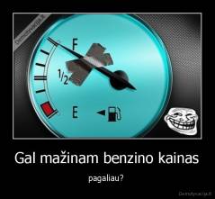 Gal mažinam benzino kainas - pagaliau? 