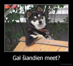 Gal šiandien meet? - 