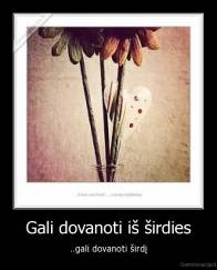 Gali dovanoti iš širdies - ..gali dovanoti širdį