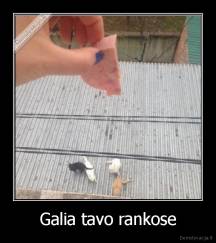 Galia tavo rankose - 