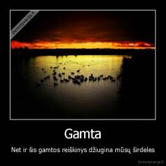 Gamta - Net ir šis gamtos reiškinys džiugina mūsų širdeles