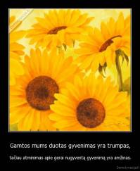 Gamtos mums duotas gyvenimas yra trumpas, - tačiau atminimas apie gerai nugyventą gyvenimą yra amžinas.