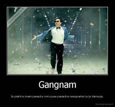 Gangnam - Jis patinka visam pasauliui nors puse pasaulios nesupranta ka jis dainuoja.