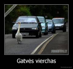 Gatvės vierchas - 