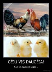 GĖJŲ VIS DAUGĖJA! - Nors jie daugintis negali...