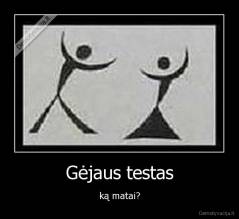 Gėjaus testas - ką matai?