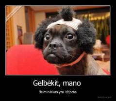 Gelbėkit, mano  - šeimininkas yra idijotas
