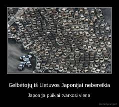 Gelbėtojų iš Lietuvos Japonijai nebereikia - Japonija puikiai tvarkosi viena