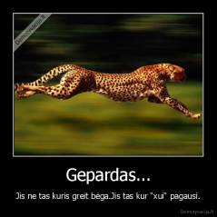 Gepardas... - Jis ne tas kuris greit bėga.Jis tas kur "xui" pagausi.