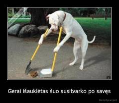 Gerai išauklėtas šuo susitvarko po savęs - 