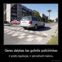 Geras dalykas tas gulintis policininkas - ir greitį reguliuoja, ir pervažiuoti malonu.