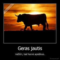 Geras jautis - nežiūri, kad karvė apsišikus.