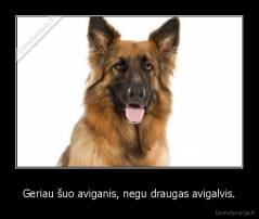 Geriau šuo aviganis, negu draugas avigalvis. - 