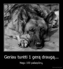 Geriau turėti 1 gerą draugą... - Negu 100 pašaipūnų.