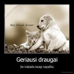 Geriausi draugai - Jie niekada tavęs nepaliks