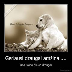 Geriausi draugai amžinai.... - Juos iskiria tik kiti draugai.
