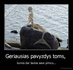 Geriausias pavyzdys toms,  - kurios dar laukia savo princo...