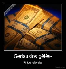 Geriausios gėlės- - Pinigų kaladėlės