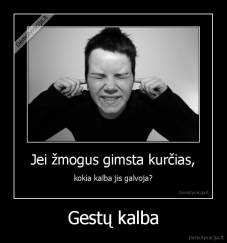 Gestų kalba - 