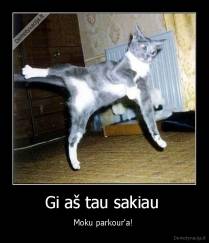 Gi aš tau sakiau  - Moku parkour'a! 