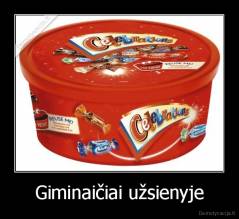 Giminaičiai užsienyje - 