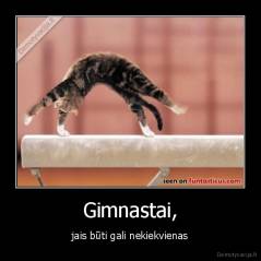 Gimnastai, - jais būti gali nekiekvienas