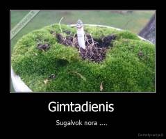 Gimtadienis  - Sugalvok nora .... 
