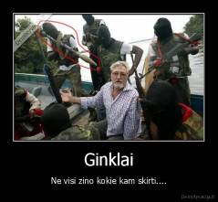 Ginklai - Ne visi zino kokie kam skirti....