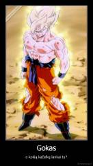 Gokas - o kokią kačelkę lankai tu?