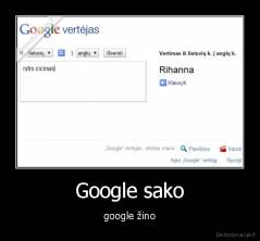 Google sako - google žino