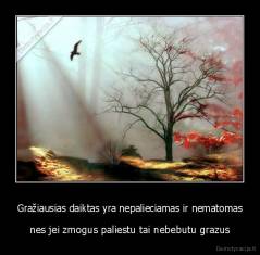Gražiausias daiktas yra nepalieciamas ir nematomas - nes jei zmogus paliestu tai nebebutu grazus